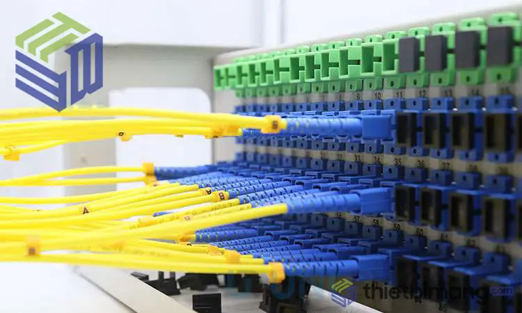 Adapter SC/UPC bên dưới và Adapter SC/APC lắp trong ODF Adapter SC/UPC bên dưới và Adapter SC/APC lắp trong ODF