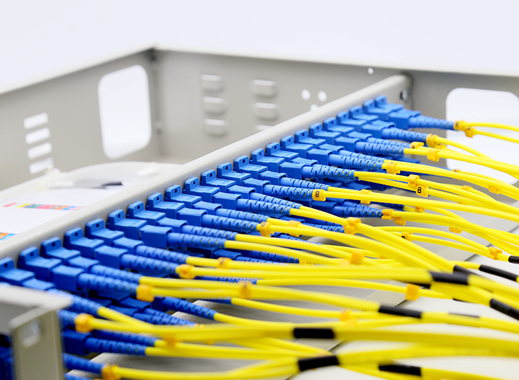 Dây nhảy quang được sử dụng trong hộp phối quang ODF 48FO