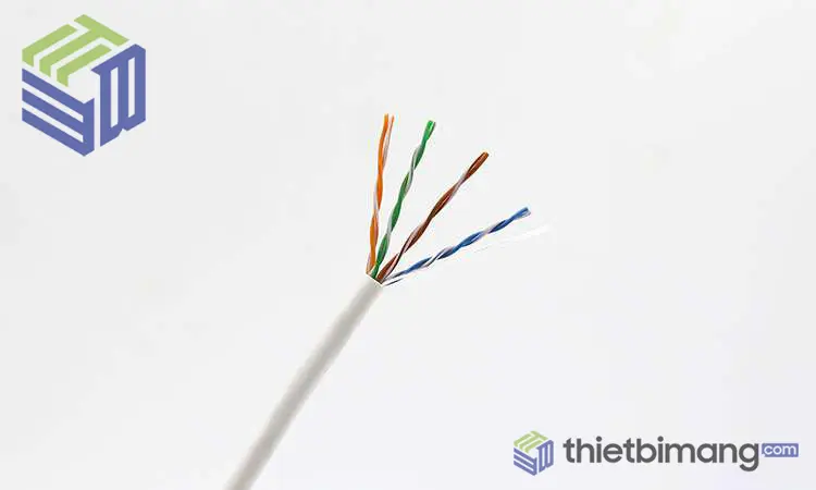 Dây cáp mạng Cat5 AMP chính hãng Dây cáp mạng Cat5 AMP chính hãng