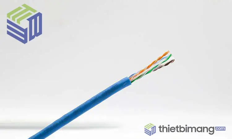 Dây cáp mạng COMMSCOPE AMP Cat6 chính hãng Dây cáp mạng COMMSCOPE AMP Cat6 chính hãng