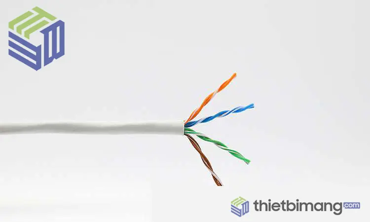 Dây cáp mạng Cat5 LS chính hãng