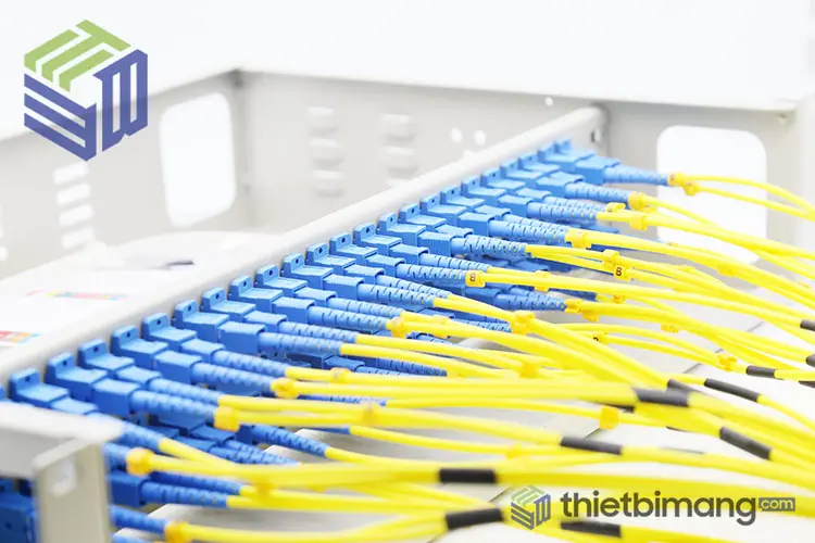 Hộp phối quang ODF 48FO lắp Adapter và dây nhảy quang Hộp phối quang ODF 48FO lắp Adapter và dây nhảy quang