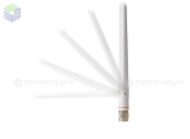 AIR-ANT2524DW-RS