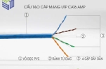 Cáp mạng Cat6 là gì? Phân biệt UTP, FTP, Cat6A và cách chọn đúng