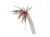 Cáp mạng Cat5e UTP LS 25 đôi 24AWG