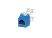 Nhân mạng Cat6 Panduit NetKey xanh