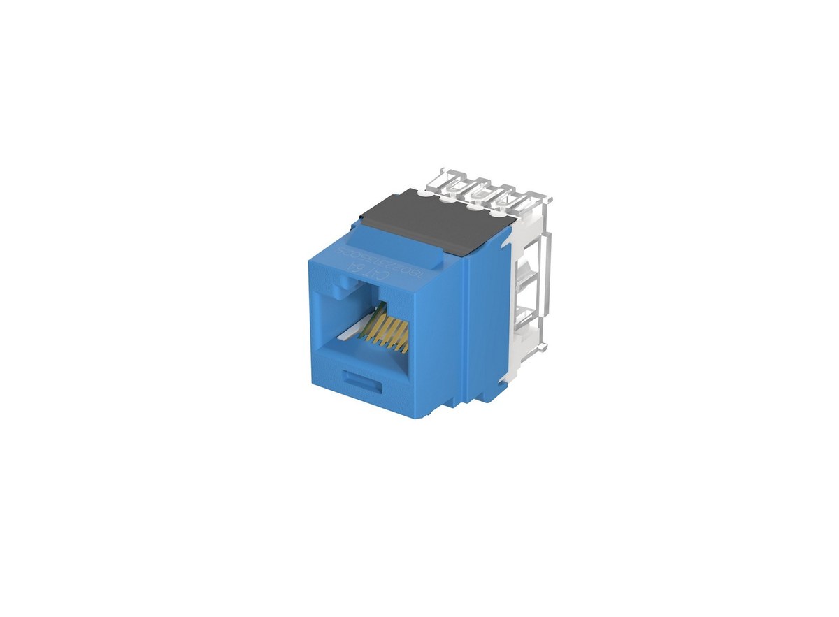 Nhân mạng Cat6A Panduit NetKey xanh