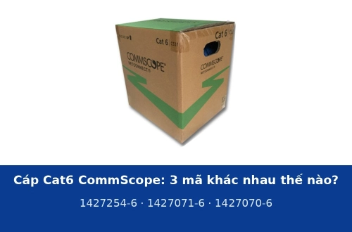 Cáp Cat6 CommScope: 1427254-6, 1427071-6 và 1427070-6 khác nhau thế nào, chọn 23 AWG, 24 AWG hay LSZH?