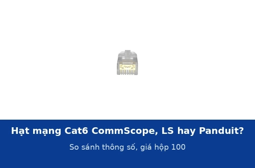 Hạt mạng Cat6 CommScope, LS hay Panduit: so sánh thông số, giá hộp 100 hạt và nên mua loại nào