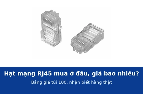 Hạt mạng RJ45 mua ở đâu, giá bao nhiêu một túi 100? Bảng giá CommScope, LS, Panduit và cách nhận biết hàng thật