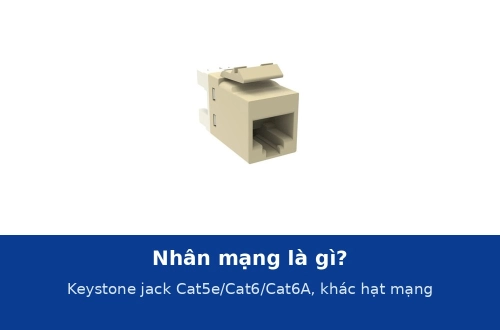 Nhân mạng là gì? Cấu tạo keystone jack Cat5e, Cat6, Cat6A và khác hạt mạng ở đâu