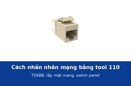 Cách nhấn nhân mạng bằng tool 110 theo T568B và lắp vào mặt mạng, patch panel đúng chuẩn