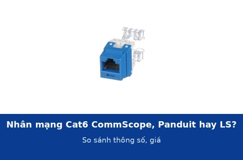 Nhân mạng Cat6 CommScope, Panduit NetKey hay LS: so sánh thông số, giá và nên chọn cho công trình nào