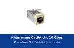 Nhân mạng Cat6A cho 10 Gbps: CommScope SLX, Panduit NetKey, LS và cách nhấn để đạt 500 MHz