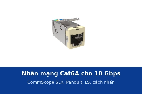 Nhân mạng Cat6A cho 10 Gbps: CommScope SLX, Panduit NetKey, LS và cách nhấn để đạt 500 MHz