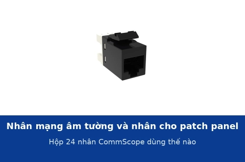 Nhân mạng âm tường và nhân mạng cho patch panel khác gì? Hộp 24 nhân CommScope dùng thế nào