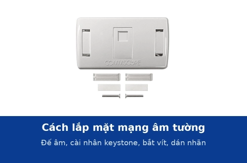 Cách lắp mặt mạng âm tường: đế âm, chừa cáp, cài nhân keystone, bắt vít, dán nhãn và lỗi thường gặp