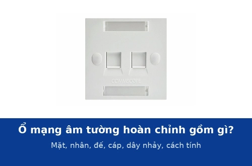 Ổ mạng âm tường hoàn chỉnh gồm những gì? Mặt mạng, nhân, đế âm, cáp, dây nhảy và cách tính cho văn phòng