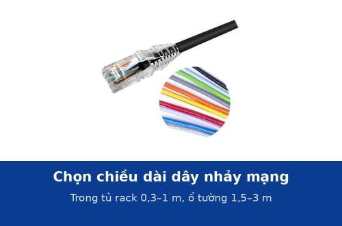 Chọn chiều dài dây nhảy mạng: trong tủ rack dùng 0,3–1 m, từ ổ tường tới máy dùng 1,5–3 m