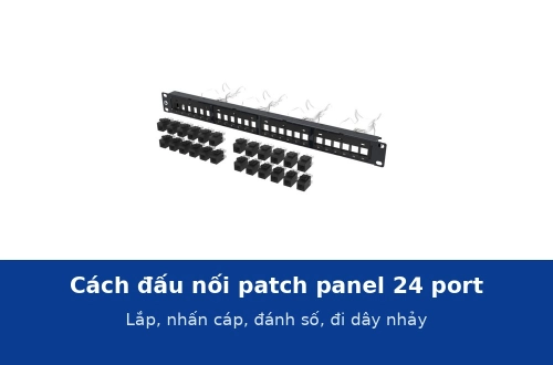 Cách đấu nối patch panel 24 port vào tủ rack: lắp, nhấn cáp, đánh số và đi dây nhảy