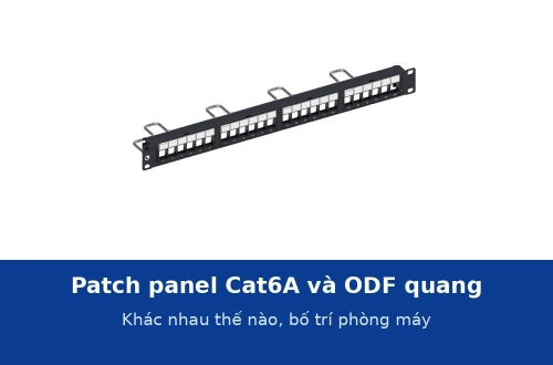 Patch panel Cat6A và hộp phối quang ODF trong tủ rack khác nhau thế nào? Bố trí cho phòng máy