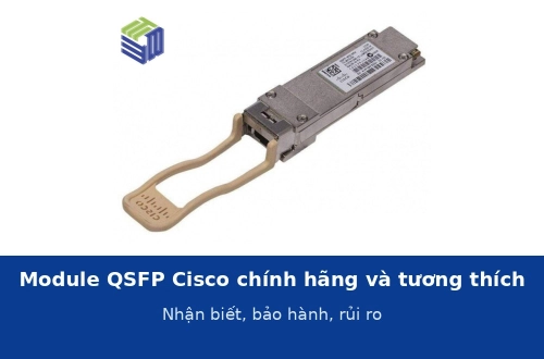 Module QSFP Cisco chính hãng và module tương thích: nhận biết, bảo hành và rủi ro khi dùng hàng không chính hãng
