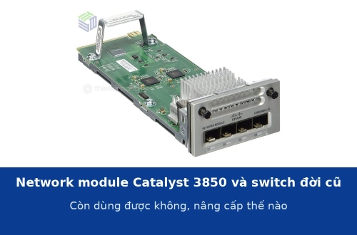 Network module Catalyst 3850 và các đời switch cũ: còn dùng được không, nâng cấp thế nào