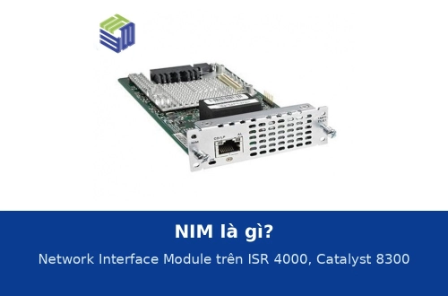 NIM là gì? Network Interface Module trên router Cisco ISR 4000 và Catalyst 8300
