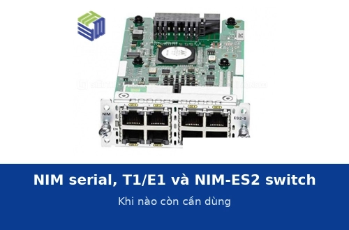 NIM serial, T1/E1 và NIM-ES2 switch module: khi nào còn cần dùng trong hệ thống hiện nay