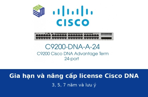 Gia hạn và nâng cấp license Cisco DNA 3, 5, 7 năm: quy trình, thời điểm và những điều cần lưu ý