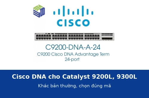 Giấy phép Cisco DNA cho Catalyst 9200L và 9300L khác gì bản thường? Cách chọn đúng mã