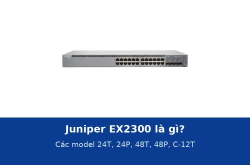 Juniper EX2300 là gì? Các model 24T, 24P, 48T, 48P, C-12T: thông số và cách chọn