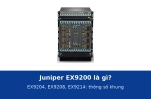 Juniper EX9200 là gì? EX9204, EX9208, EX9214: thông số khung và ứng dụng
