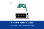 Network module Cisco C9300-NM, C9200-NM là gì? Các mã và cách chọn theo uplink