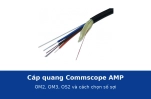 Cáp quang Commscope AMP OM2, OM3, OS2: thông số và cách chọn số sợi