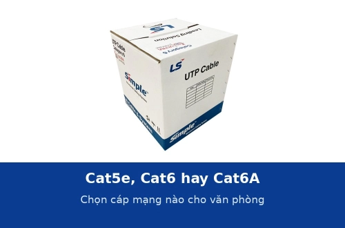 Cat5e, Cat6 hay Cat6A: chọn cáp mạng nào cho văn phòng và chênh lệch chi phí