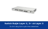 Switch Ruijie Layer 2, Layer 2+ và Layer 3 khác nhau thế nào? So theo datasheet từng dòng